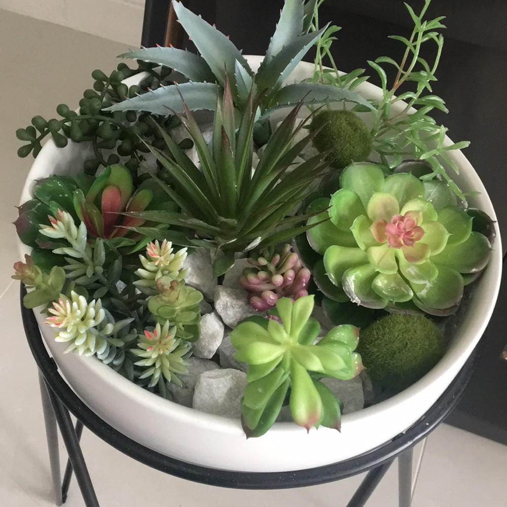 🌵 Thank you for your Business 🌵😘